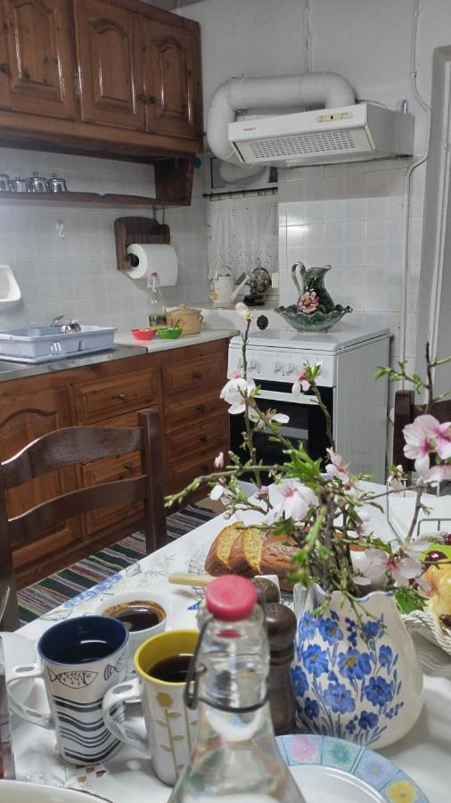 Vaggelitsa'S House Villa Питагорио Екстериор снимка
